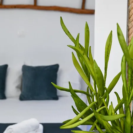 Vakantiehuis Navis *