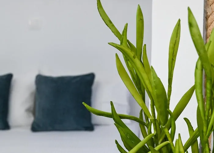 Hébergement de vacances Navis *